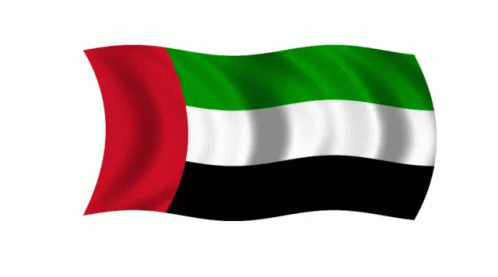 UAE Flag